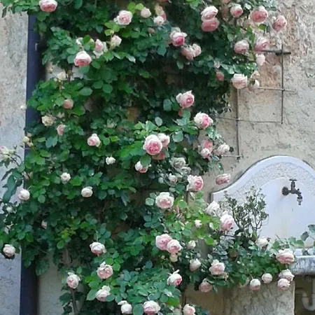 Vendégház Casa Della Meridiana Caprino Veronese